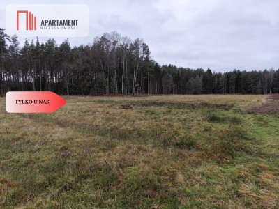 Tylko u Nas Działka rolna o pow 235 ha - Międzybórz  -
Pomorskie Zdjęcie nr 10