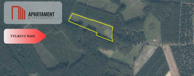 Tylko u Nas Działka rolna o pow 235 ha - Międzybórz  -
Pomorskie Zdjęcie nr 11