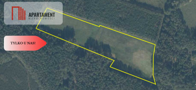 Tylko u Nas Działka rolna o pow 235 ha - Międzybórz  -
Pomorskie Zdjęcie nr 12