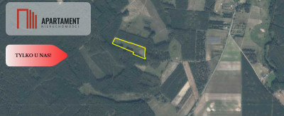 Tylko u Nas Działka rolna o pow 235 ha - Międzybórz  -
Pomorskie Zdjęcie nr 3