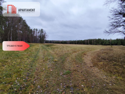 Tylko u Nas Działka rolna o pow 235 ha - Międzybórz  -
Pomorskie Zdjęcie nr 4