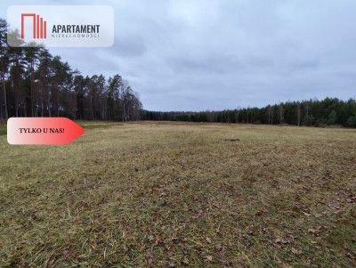 Tylko u Nas Działka rolna o pow 235 ha - Międzybórz  -
Pomorskie Zdjęcie nr 6