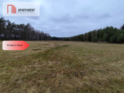 Tylko u Nas Działka rolna o pow 235 ha - Międzybórz  -
Pomorskie Zdjęcie nr 7