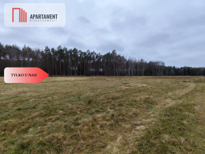 Tylko u Nas Działka rolna o pow 235 ha - Międzybórz  -
Pomorskie Zdjęcie nr 9