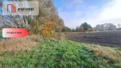 Działka Siedliskowa- Szpęgawa koło Tczewa - Szpęgawa  -
Pomorskie Zdjęcie nr 4