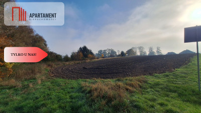 Działka Siedliskowa- Szpęgawa koło Tczewa - Szpęgawa  -
Pomorskie Zdjęcie nr 5