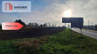 Działka Siedliskowa- Szpęgawa koło Tczewa - Szpęgawa  -
Pomorskie Zdjęcie nr 6