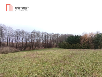 Działka rekreacyjna nad jeziorem - Szwarcenowo  -
Warmińsko-Mazurskie Zdjęcie nr 2