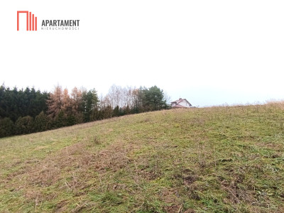 Działka rekreacyjna nad jeziorem - Szwarcenowo  -
Warmińsko-Mazurskie Zdjęcie nr 4