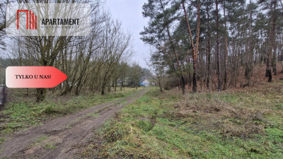 2 działki - Grabowiec  Wydane WZ - w zaciszu lasu - Grabowiec  -
Kujawsko-Pomorskie Zdjęcie nr 2