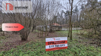 2 działki - Grabowiec  Wydane WZ - w zaciszu lasu - Grabowiec  -
Kujawsko-Pomorskie Zdjęcie nr 5