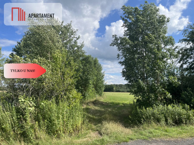 Działka grunt rolny 223 ha - Suliradzice  -
Dolnośląskie Zdjęcie nr 11