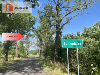 Działka grunt rolny 223 ha - Suliradzice  -
Dolnośląskie Zdjęcie nr 3