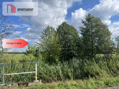 Działka grunt rolny 223 ha - Suliradzice  -
Dolnośląskie Zdjęcie nr 5