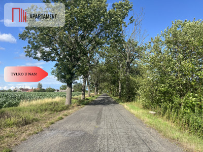 Działka grunt rolny 223 ha - Suliradzice  -
Dolnośląskie Zdjęcie nr 6