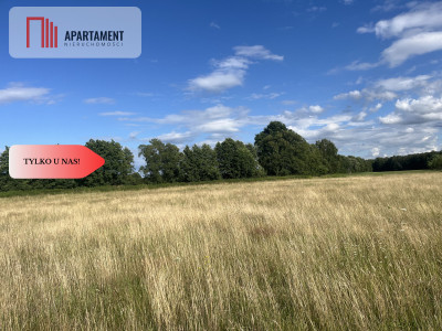 Działka grunt rolny 223 ha - Suliradzice  -
Dolnośląskie Zdjęcie nr 8