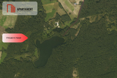 działka o powierzchni 3050 m z warunkami zabudowy - Iłowo  -
Kujawsko-Pomorskie Zdjęcie nr 3