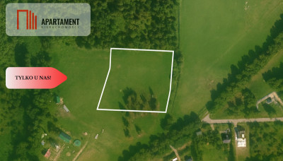 Piękne działki nad jeziorem Pile w Piławie - Piława  -
Zachodniopomorskie Zdjęcie nr 6