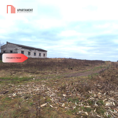 Działka budowlana 3200m2  z WZ Ojrzanowo - Ojrzanowo  -
Kujawsko-Pomorskie Zdjęcie nr 2