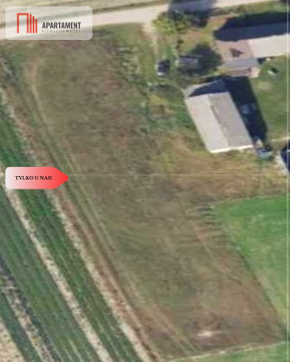 Działka budowlana 3200m2  z WZ Ojrzanowo - Ojrzanowo  -
Kujawsko-Pomorskie Zdjęcie nr 5