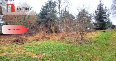 Niewielka działka w okolicy lasu i jeziora - Wierzchucinek  -
Kujawsko-Pomorskie Zdjęcie nr 3