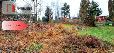Niewielka działka w okolicy lasu i jeziora - Wierzchucinek  -
Kujawsko-Pomorskie Zdjęcie nr 5