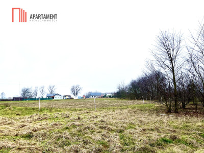 Działka inwestycyjna 6892 m WZ na 6 domów - Przyłęki  -
Kujawsko-Pomorskie Zdjęcie nr 5