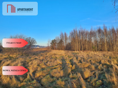 Działka budowlana przy drodze krajowej nr 20 - Hopowo  -
Pomorskie Zdjęcie nr 6