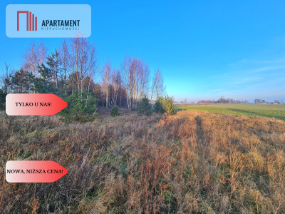 Działka budowlana przy drodze krajowej nr 20 - Hopowo  -
Pomorskie Zdjęcie nr 7