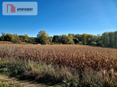 Działka na sprzedaż - Biały Kościół  -
Dolnośląskie Zdjęcie nr 2