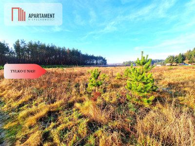 Atrakcyjna działka budowlana na skraju wsi - Kwieki  - Pomorskie