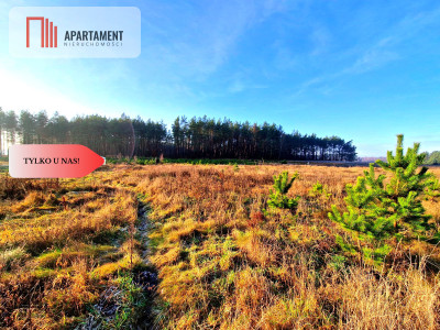 Atrakcyjna działka budowlana na skraju wsi - Kwieki  -
Pomorskie Zdjęcie nr 2