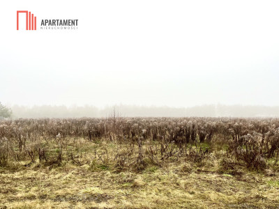 Działki z WZ Żołędowo - Żołędowo  -
Kujawsko-Pomorskie Zdjęcie nr 3