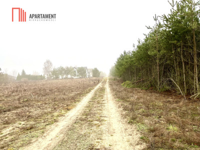 Działki z WZ Żołędowo - Żołędowo  -
Kujawsko-Pomorskie Zdjęcie nr 9