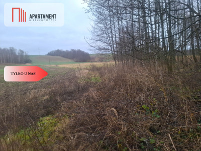 TYLKO U NAS  ATRAKCYJNA DZIAŁKA BLISKO LASU - Bzowo  -
Kujawsko-Pomorskie Zdjęcie nr 3