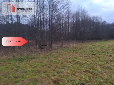 TYLKO U NAS  ATRAKCYJNA DZIAŁKA BLISKO LASU - Bzowo  -
Kujawsko-Pomorskie Zdjęcie nr 4