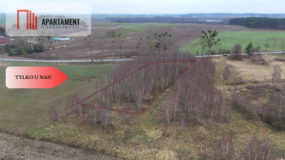  Działka 3000m2 z WZ Łąsko Małe KORONOWO - Łąsko Małe  -
Kujawsko-Pomorskie Zdjęcie nr 12