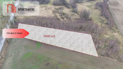  Działka 3000m2 z WZ Łąsko Małe KORONOWO - Łąsko Małe  -
Kujawsko-Pomorskie Zdjęcie nr 4