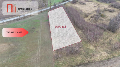  Działka 3000m2 z WZ Łąsko Małe KORONOWO - Łąsko Małe  -
Kujawsko-Pomorskie Zdjęcie nr 5