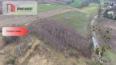  Działka 3000m2 z WZ Łąsko Małe KORONOWO - Łąsko Małe  -
Kujawsko-Pomorskie Zdjęcie nr 7