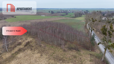  Działka 3000m2 z WZ Łąsko Małe KORONOWO - Łąsko Małe  -
Kujawsko-Pomorskie Zdjęcie nr 8