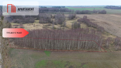  Działka 3000m2 z WZ Łąsko Małe KORONOWO - Łąsko Małe  -
Kujawsko-Pomorskie Zdjęcie nr 9