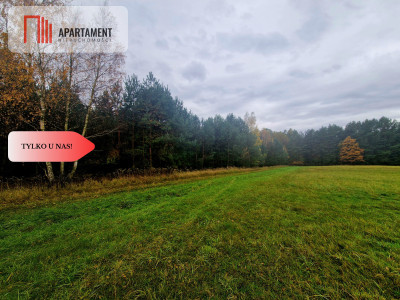 Działka rolna - Łazy Wielkie  - Dolnośląskie