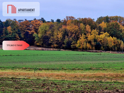 Działka rolna - Łazy Wielkie  -
Dolnośląskie Zdjęcie nr 2