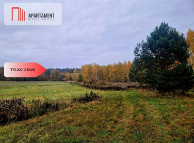 Działka rolna - Łazy Wielkie  -
Dolnośląskie Zdjęcie nr 5