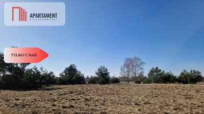 Tylko u nas Kompleks działek z MPZP - Nowa Wieś Wielka  - Kujawsko-Pomorskie