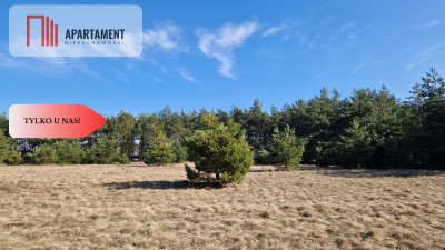 Tylko u nas Kompleks działek z MPZP - Nowa Wieś Wielka  -
Kujawsko-Pomorskie Zdjęcie nr 2