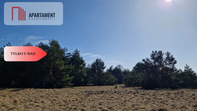 Tylko u nas Kompleks działek z MPZP - Nowa Wieś Wielka  -
Kujawsko-Pomorskie Zdjęcie nr 3