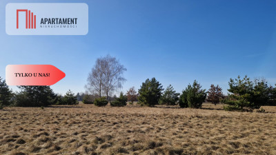 Tylko u nas Kompleks działek z MPZP - Nowa Wieś Wielka  -
Kujawsko-Pomorskie Zdjęcie nr 5