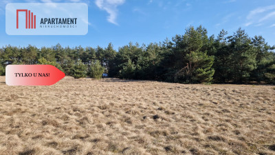 Tylko u nas Kompleks działek z MPZP - Nowa Wieś Wielka  -
Kujawsko-Pomorskie Zdjęcie nr 6